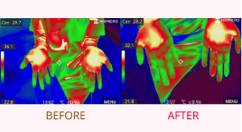 複数の実験で効果を確認